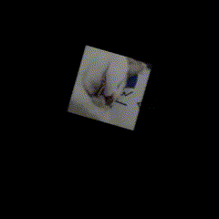 More animated responsive cat, spinning